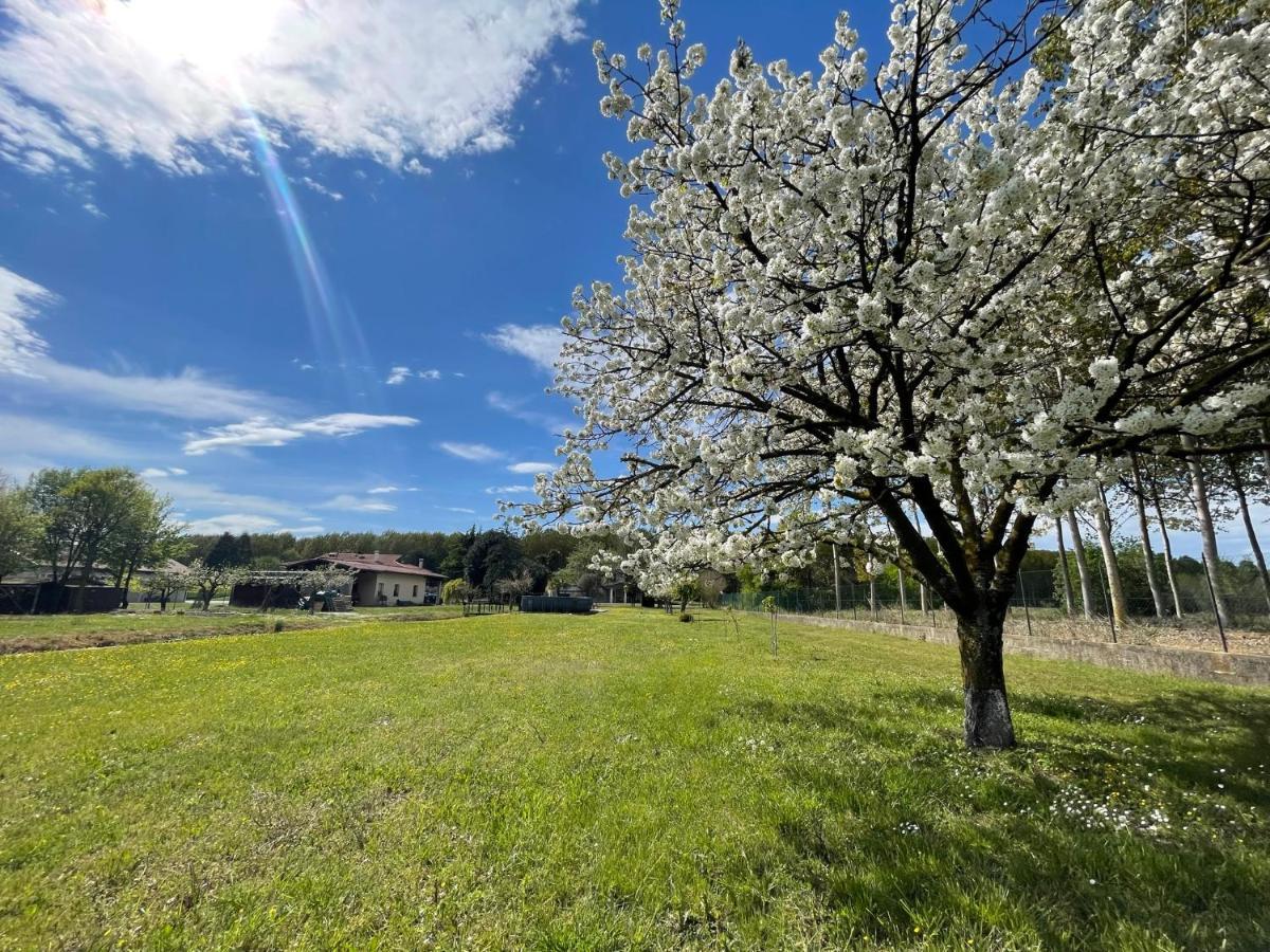 B&B Da Leone Palazzolo dello Stella Luaran gambar