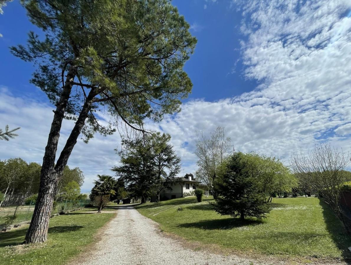 B&B Da Leone Palazzolo dello Stella Luaran gambar